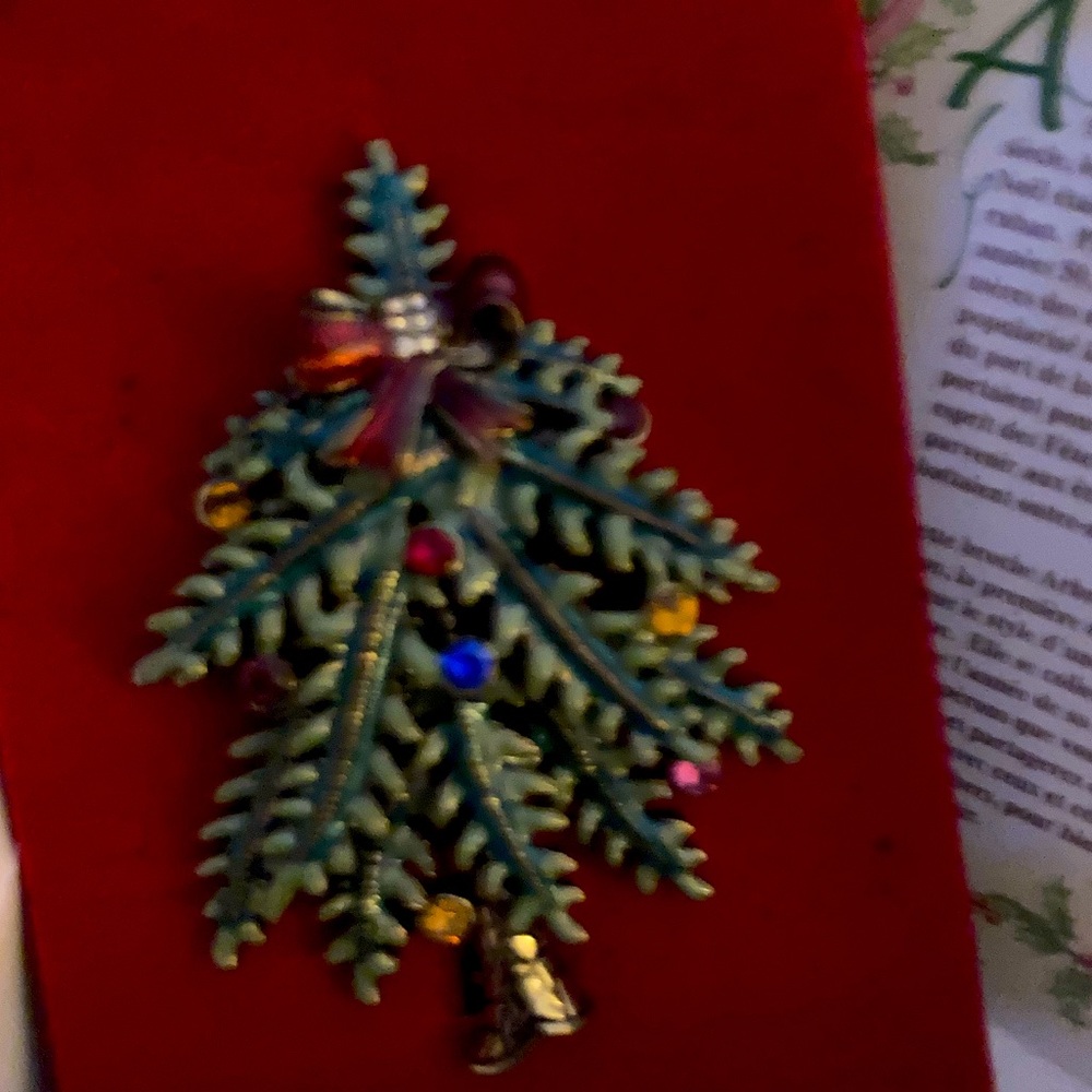 Women’s  brooches
